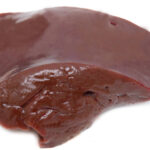 Liver